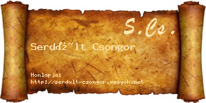 Serdült Csongor névjegykártya